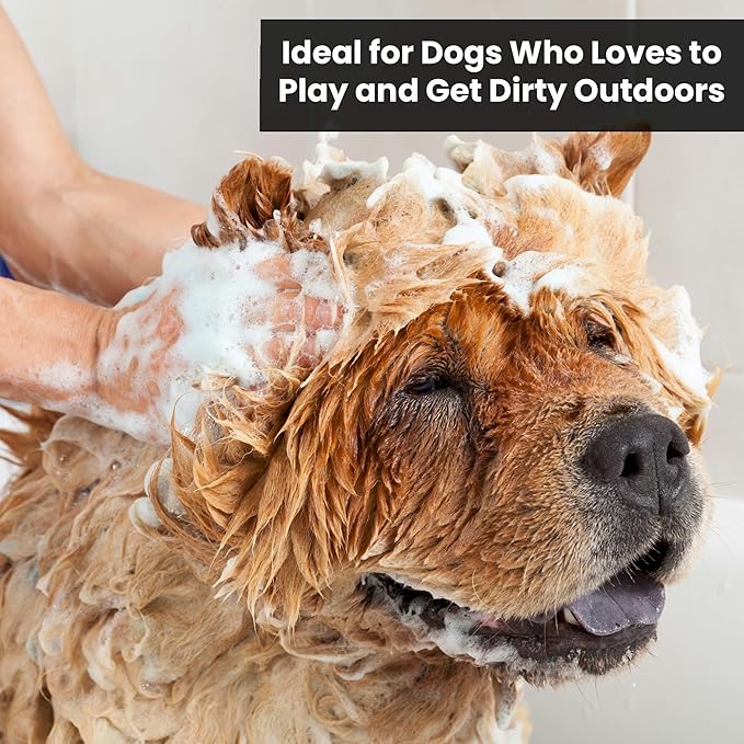 Dog Shampoo and Conditioner - Aromatic Tearless Shampoo for Cleansing, Grooming, and Conditioning - Moisturizing Anti Itch Shampoo for Dogs and Puppies - Mandarin Ginger 13.5 oz.