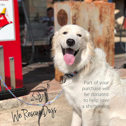 Lucky Love Dog Collars, Comfortable, Soft, Cute Female Dog Collar for Small Medium Large Dogs, SOCO, XS