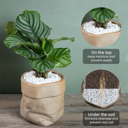 5lb Rocks Polished Silica Gravel for Plants Garden, Decorative Pebbles Ideal for Fish Tank, Vases, Succulents, Crafting, Home Decor and Garden Landscaping, Snow White(0.16-0.24”)