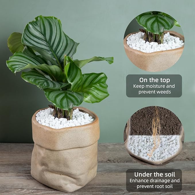 5lb River Rocks Polished Silica Gravel for Plants Garden, Decorative Pebbles Ideal for Fish Tank, Vases, Succulents, Crafting, Home Decor and Garden Landscaping, Snow White(0.2-0.3”)