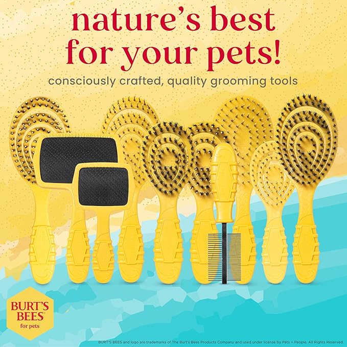 Burt_ Bees for Pets Detangling Pin Brush for Dogs with Medium to Long Hair with Handle Made from Recycled Plastics Collected from Coastal Communities | Dog Brush Removes Tangles and Loosens Matting
