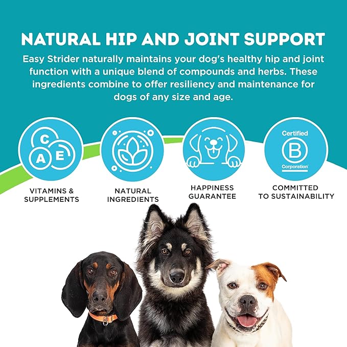 Only Natural Pet Easy Strider Hip and Joint Supplement, All Natural Holistic Glucosamine & Turmeric Formula for Dogs - Made in USA, 60 Soft Chews