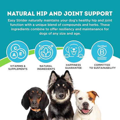 Only Natural Pet Easy Strider Hip and Joint Supplement, All Natural Holistic Glucosamine & Turmeric Formula for Dogs - Made in USA, 60 Soft Chews