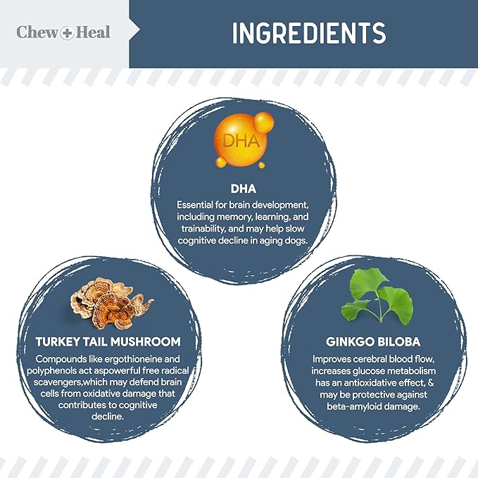 Senior Dog Vision and Cognition Chews - 60 Soft Chews for Dog Eye Care and Memory - 7-in-1 Multivitamin with Omega Fatty Acids, Vitamins, and Botanicals - Made in The USA