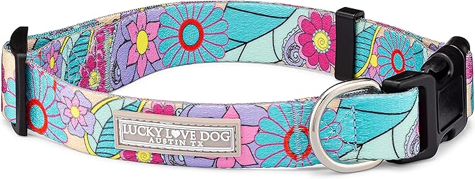 Lucky Love Dog Collars, Cute Large Dog Collars for Female Dogs, Part of Purchase Donated to Rescue (Large, Caroline, Collar)