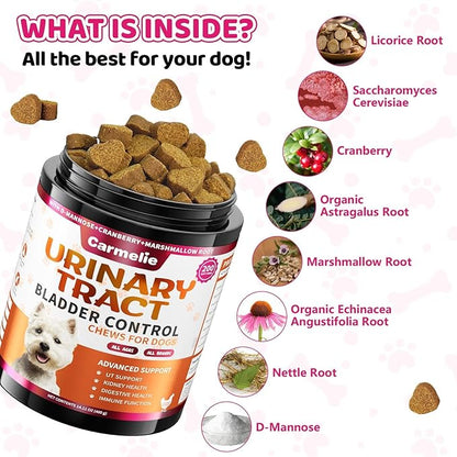 Dog Urinary Tract Supplement, Cranberry Supplement for Dog Urinary Tract, Bladder Support, Kidney Support, 200 Chews Natural Cranberry Support for Dogs