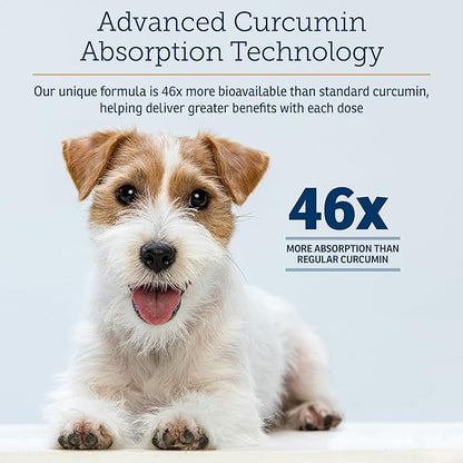 Rx Vitamins CurcuWIN - Curcumin for Dogs & Cats - Vitamins and Supplements, Allergy Relief - Provides Immune Support & Aids Digestive Support - Joint Supplement - 90ct