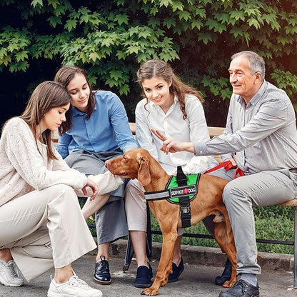 2Pcs Service Dog Patches for Harness, Removable Emotional Support Dog Vest Patches, Black in Training Dog Patch, Working Dog Applique Tactical Dog Equipment for Collar Leash (4_2'')