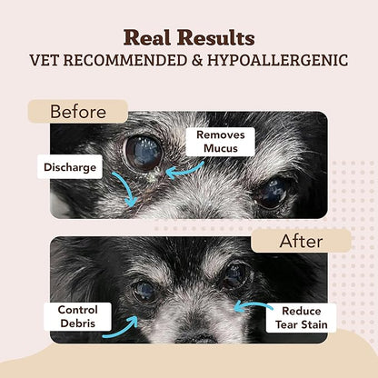 Natural Dog Eye Wipes for Dogs -100 Ct- Soothing Dog Eye Wipes with Natural, Non-Irritating Ingredients Green Tea & Goldenseal, Effective Dog Tear Stain Remover Wipe & Dog Eye Gunk Remover Wipe, Vegan