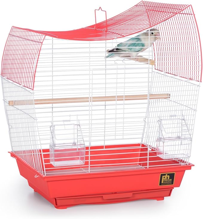 Prevue Pet Products South Beach Wave Top Bird Cage, Lime Green (SP50081)