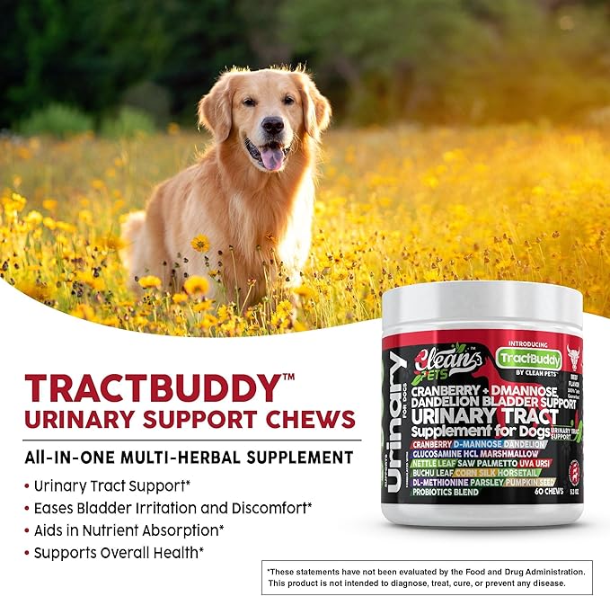 Cranberry for Dogs Urinary Tract Support | D-Mannose UTI Bladder Stones Dandelion Glucosamine HCL Marshmallow Nettle Leaf Saw Palmetto Uva Ursi Buchu Horsetail Methionine Parsley Supplement