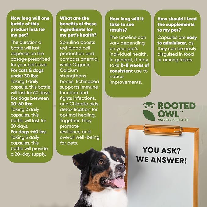 Rooted Owl Blood Support - Immunity, Recovery and Iron Supplement for Dogs & Cats - Anemia Support with Spirulina and Chlorella - 60/ct Vegan Capsules