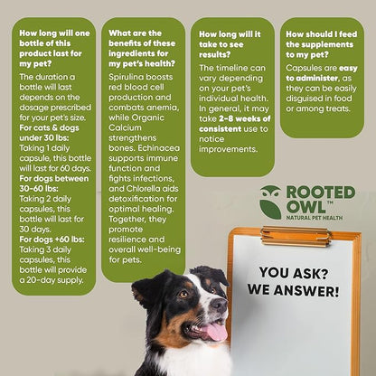 Rooted Owl Blood Support - Immunity, Recovery and Iron Supplement for Dogs & Cats - Anemia Support with Spirulina and Chlorella - 60/ct Vegan Capsules