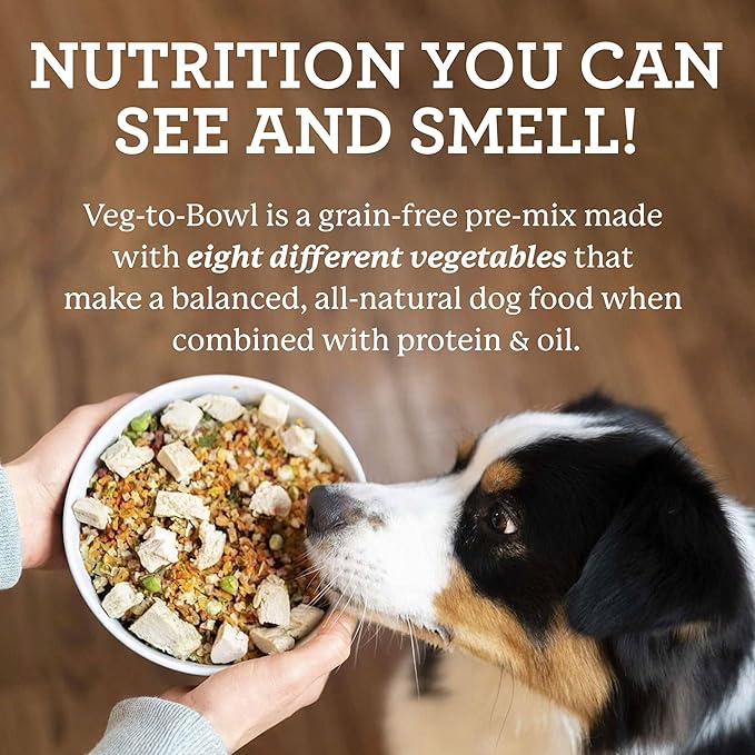 Dr. Harvey's Veg-to-Bowl Dog Food, Human Grade Dehydrated Base Mix for Dogs, Grain Free Holistic Mix, Trial Size (6.5 Oz)