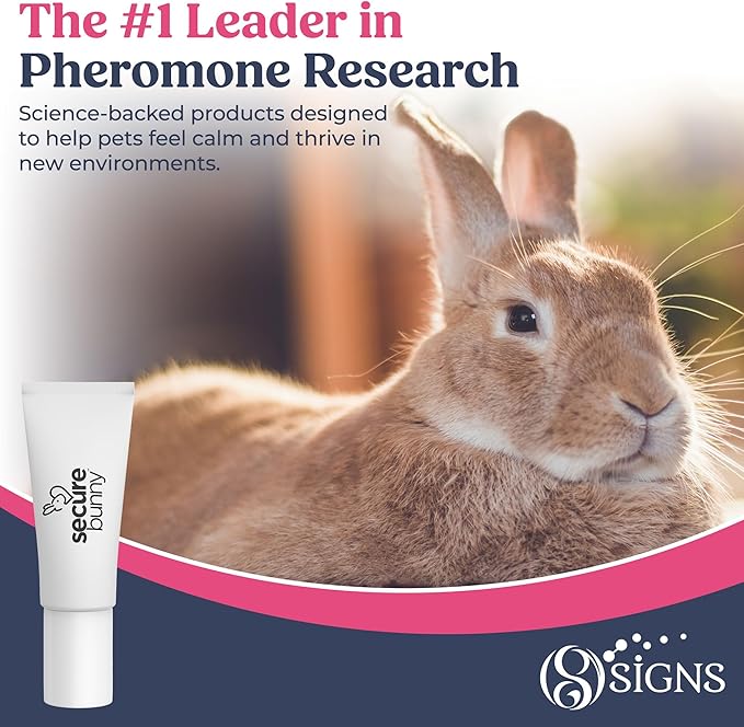 SecureBunny Adventure, Water Based Pheromone Cream for Outdoor Stress Management, Helping Relieve Any Feeling of Anxiety and Stress