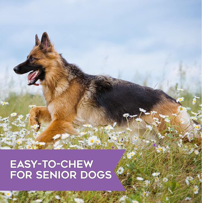 DOGSWELL Skin & Coat Soft & Chewy Dog Treats, Salmon, 14 oz. Pouch