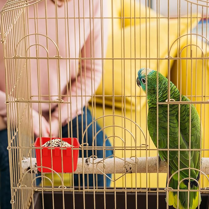 40 Pcs Cage Cups Chicken Feeder Cups 16 oz Hanging Bird Food Water Cups Bunny Cage Feeding Bowl Dish for Pet Parrot Rooster Parakeet Gamefowl Poultry Pigeon Wire Cage(Red)