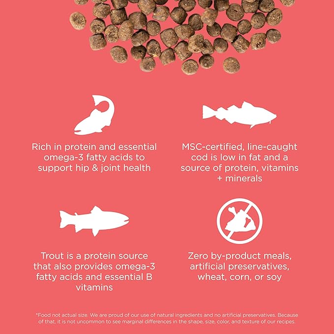 Go! Solutions Carnivore, Grain-Free, Protein Rich Dry Cat Food, Salmon and Cod Recipe, 3 lb Bag