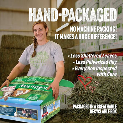 Small Pet Select 2nd Cutting Perfect Blend Timothy Hay Pet Food for Rabbits, Guinea Pigs, Chinchillas and Other Small Animals, Premium Natural Hay Grown in The US, 10 LB