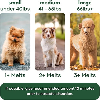 Calming Strips for Dogs 4-in-1 – 30 Behavioral Support Melts with Chamomile, L-Theanine, Tryptophan & Melatonin for Dogs – Supports Calm During Fireworks & Separation – Non Drowsy Pet Zen Formula