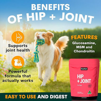 Petz Park Glucosamine for Dogs - Hip & Joint Support Powder with Chondroitin & MSM - Arthritis Pain Relief, Hip Dysplasia Treatment - 800mg Glucosamine - 90 Scoops