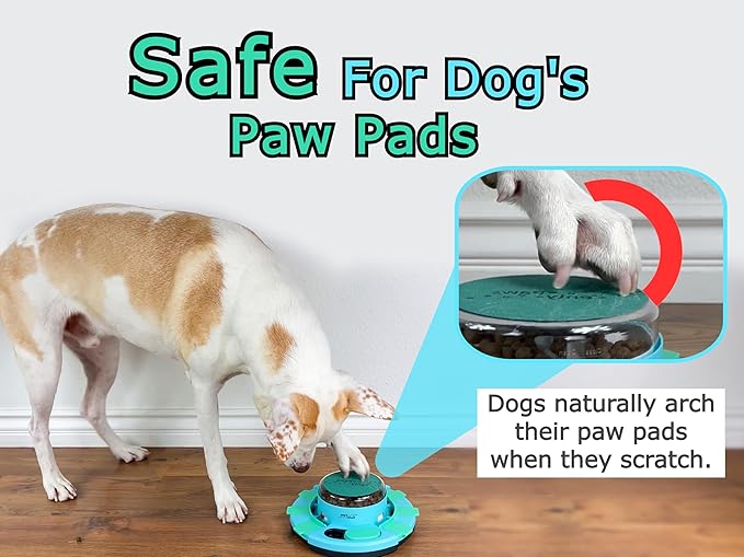 Dog Nail File & Scratch Pad Replacement - Refillable Discs & Board for Nail Care