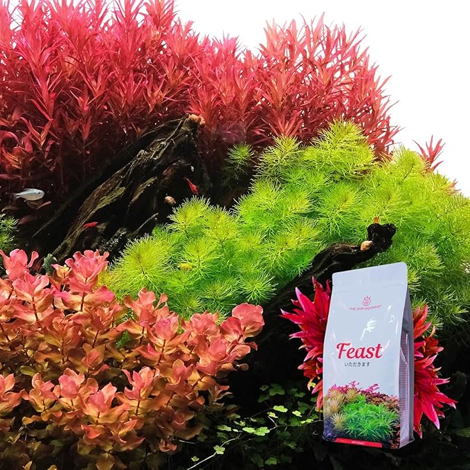 2HR Aquarist APT Feast Planted Aquarium Substrate (5L)