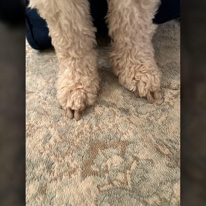 Mag's Paw Grips - Toe Grips for Senior Dogs - Anti-Slip Traction on Hardwood Floors - Nail Wraps for Large Dogs (Over 100lbs)