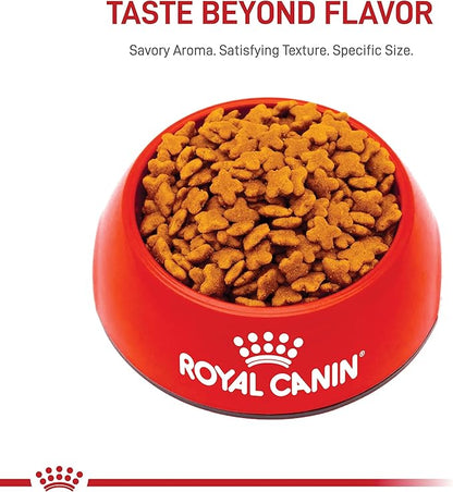 Royal Canin Size Health Nutrition Small 8+ Senior Dry Dog Food, 13 lb Bag