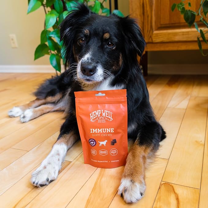 Hemp Well Immune - Allergy Support Dog Soft Chews - Long Lasting Relief for Seasonal Dog Allergies and Itching - Supports Healthy Skin and Immune System - Gut Health - Organic (30)