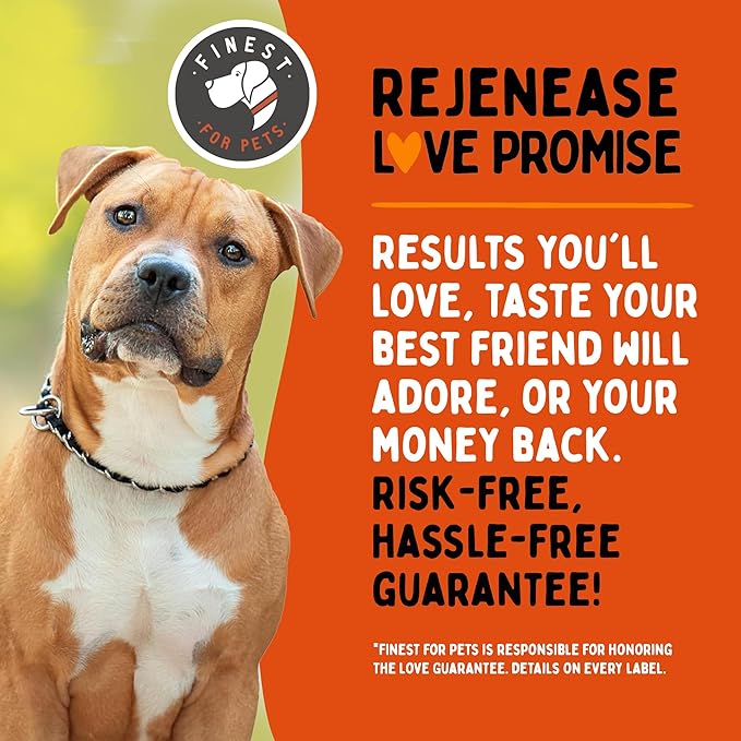 Rejenease Liquid Glucosamine for Dogs with Chondroitin, MSM & Hyaluronic Acid  Finest For Pets Hip & Joint Supplement for Dog Joint Support, Mobility, Stiffness & Pain Relief (32 oz, Made in USA)