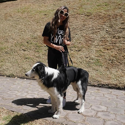 AGON Canine Dog Sling Carrier Support Back Legs Hip Knee Hock Joint Harness to Help Lift Dogs Rear Aid and Old K9 Cruciate (Small, Black)