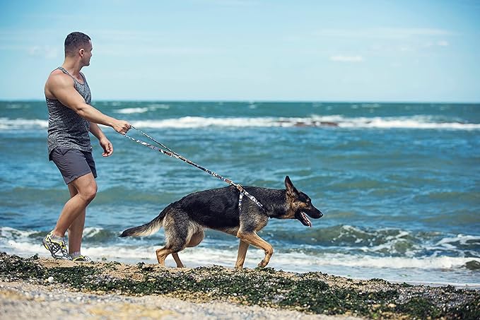 Dog Harness, No Pull Dogs Harness and Multi-Function Leash Set for Medium Dogs Easy Walk Everyday Adjustable Soft Dog Vest Harness Fashionable Dog Accessories Camouflage Blue-L