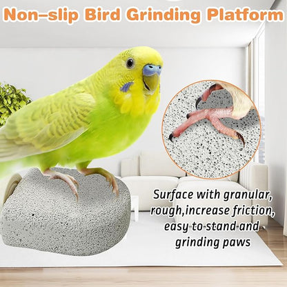 PINVNBY 6 PCS Bird Perch Bird Beak Grinding Stone Calcium Mineral Parrot Perch Foot Claws Trimmer Chew Toy Cage Accessories for Small Medium Budgie Cockatiel Conure Lovebird Finch
