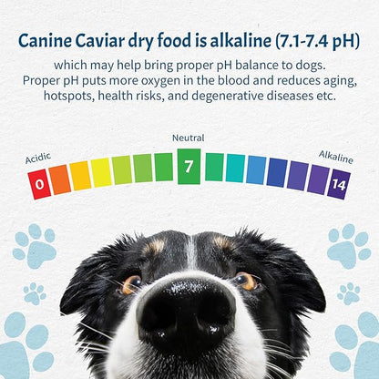 Canine Caviar - Special Needs: Trout & Whole Ground Oats, Alkaline Dry Dog Food, Limited Ingredients, Gluten-Free, Based on Science & Research, Veterinary Alternative Diet (11 Pound Bag)