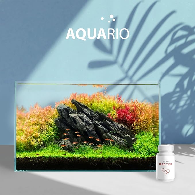 Neo Cap - Water Conditioner for Aquarium Tank - Enhances Biological Filtration, Improves Water Quality, Safe for Freshwater & Saltwater - Bacter, 20 Capsules