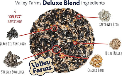 Valley Farms Deluxe Blend (4 LB) Wild Bird Food for Outside Feeders with Black Oil Sunflower Seed, Safflower Seed for Birds - Select Birdseed