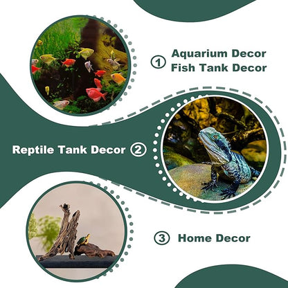 Natural Driftwood for Aquarium Fish Tank Decor,Assorted Trunk Driftwood Branch for Reptile Decor (ZYM+Strips(8-12 Inch)-2 PCS)