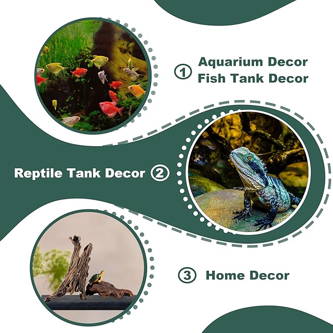 2 PCS Natural Driftwood for Aquarium Fish Tank Decor,Assorted Driftwood Branch for Reptile Decor (ZYM-S(8-12 Inch)-2 PCS)