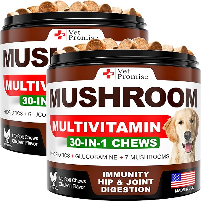 (2 Pack) Mushroom for Dogs - 340 Chews - Turkey Tail - Mushroom Supplement for Dogs - Lions Mane - Reishi - Immunity Support Multivitamin Vitamins - Joint Health - Energy - Gut - Skin - Made in USA