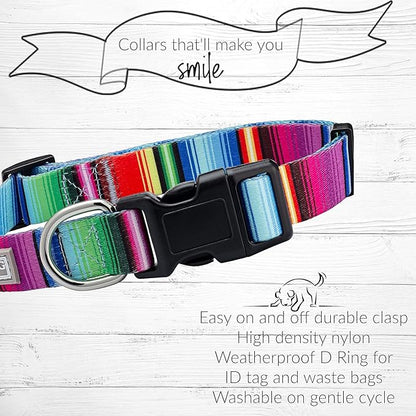 Lucky Love Dog Collars, Rainbow Striped Dog Collar for Tiny Dogs, Vivid Pattern Girl or Boy Dog Collar, Nacho, X-Small