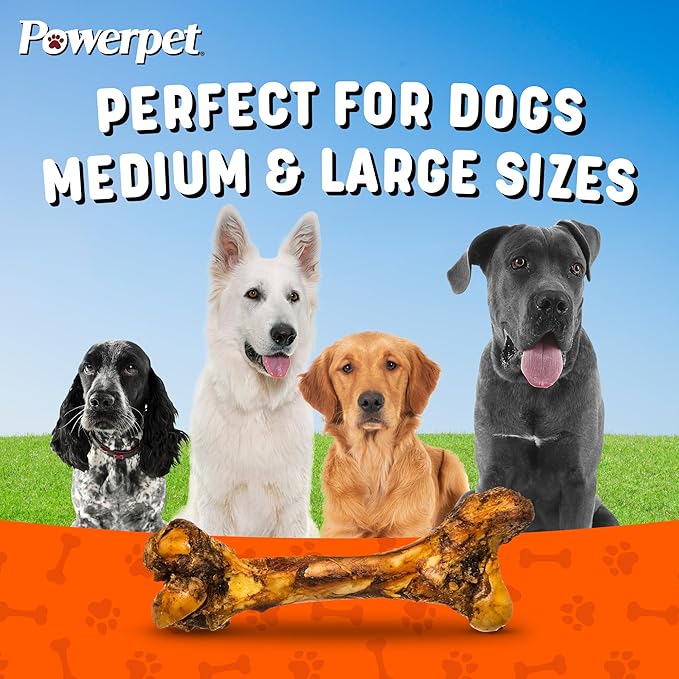 Powerpet Jr. Mammoth Bone - Halloween Dog Treats, Natural Beef Dog Chew Bones, Digestible Dog Bones w/High Calcium, for Dental Health, Large Breeds & Aggressive Chewers - Odorless, Smoked Flavor 1pc