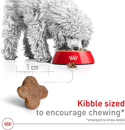 Royal Canin Size Health Nutrition Small 8+ Senior Dry Dog Food, 2.5 lb Bag