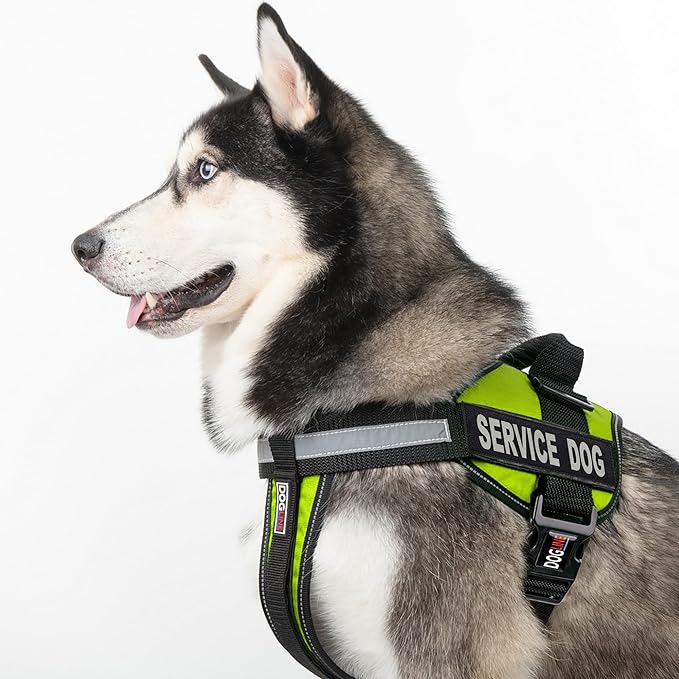 Dogline Unimax Service Dog Vest and Free Service Dog ID Badge with ADA Law, Small, Lime Green