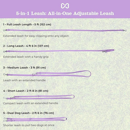 Dog Harness and Leash Set | BearBone No Pull Dog Harness and Waterproof Dog Collar and Leash Set | Heavy Duty Dog Harness, Leash and Collar | Small Dog Harness and Leash Set (Lilac, Small)