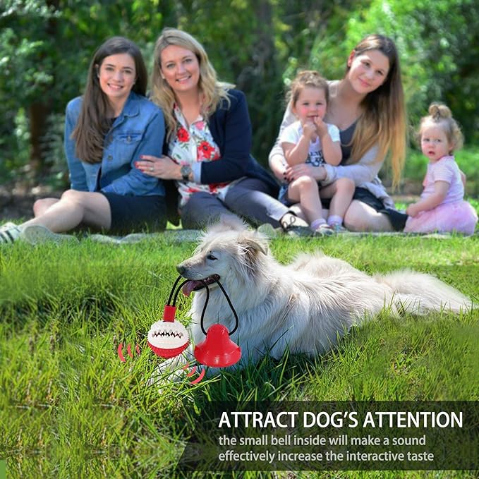 Dog Toys, Dog Chew Toys for Aggressive chewers,Dog Rope Toys with Suction Cup for Puppy Dogs,Dog Training Treats Teething Toys for Boredom, Small Dog Puzzle Toy Treat Food Dispensing Ball Toys (red)