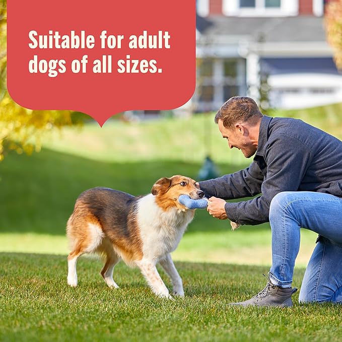 Nutrish Gentle Digestion Premium Paté Wet Dog Food, Real Chicken, Pumpkin & Salmon Recipe, 13 oz. Can, 12 Count (Rachael Ray)