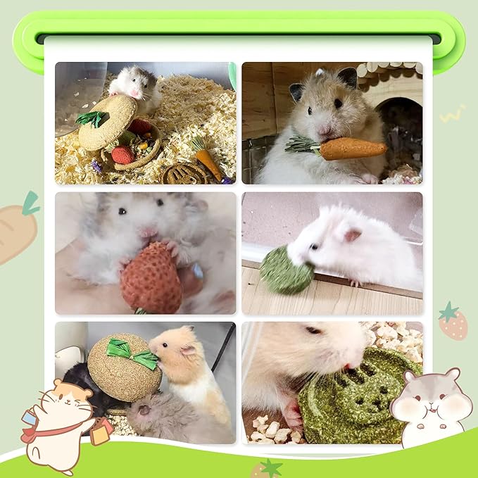 10 PCS Hamster Chew Toys, Guinea Pig Chew Toys for Teeth Natural Timothy Chinchilla Treats Apple Core, Grass Cake, Carrot and Strawberry for Gerbil, Rat, Rabbit and Small Animal Dental Care