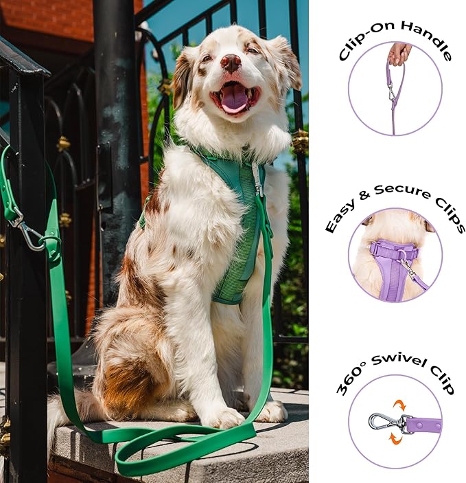 Dog Harness and Leash Set | BearBone No Pull Dog Harness and Waterproof Dog Collar and Leash Set | Heavy Duty Dog Harness, Leash and Collar | Small Dog Harness and Leash Set (Lilac, Small)