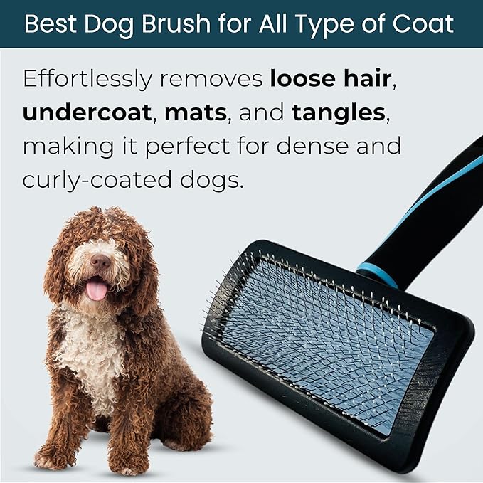 Pet Slicker Brush (Small Size, Black) for Grooming Pet Hair with Fluff Detangle Style  Dog Brush for Long & Short Haired Dogs for Goldendoodles  Curved Pin for  Removes Tangles & Loose Fur